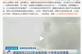 用爱发电？德国将弃用核电、煤电、天然气！究竟哪种发电方式好？图片