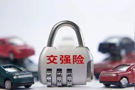 全省实施交强险“电子保单”，年检标志寄到家图片
