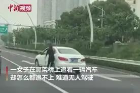 停车忘挂档，司机高架追车跑图片