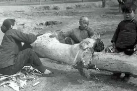 饥荒时，为什么灾民宁可吃草根啃树皮，也不愿去河里抓鱼吃？图片