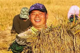 这片黑土地，为啥是中国粮食安全“压舱石”？| 东北地区图片