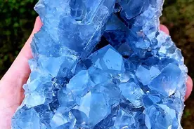 天青石，酷似青金石的一种“大众宝石”图片