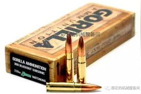 300BLK步枪弹代表美军放弃小口径，重归7.62了吗？图片