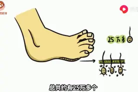 “气味色情”的脚臭味，居然能“变臭为香”？究竟哪个环节有问题图片