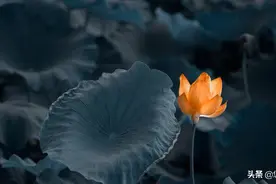 其实，越是心地善良的人，命越不好图片