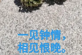 有一种爱叫一见钟情图片