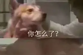 定了！广东高考这个时间放榜！准考证别丢，大有用处图片