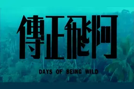《阿飞正传》里的四个女人，你看懂了吗？图片