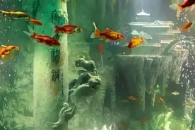 金箍棒的四位主人，孙悟空是最弱的一位，其他三位都是谁呢？图片