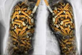吸烟的肺部有多黑？戒烟后，肺能重新变白吗？图片