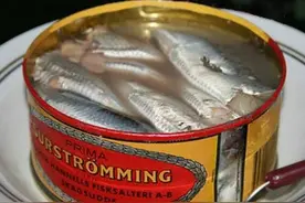 下不了嘴系列（十三）鲱鱼罐头(Surstromming)图片