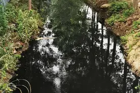 雨后河流出现“黑水”，究竟怎么回事？图片
