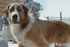 帅气巴克热血归来图片