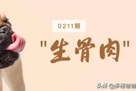 猫狗便便会大幅度减少？科学喂养的生骨肉配方什么样子图片