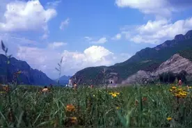 错换人生28年，这是怎样的狗血剧情图片