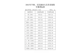 2021年个体、灵活就业参保人员养老保险核定、缴费现已开始图片