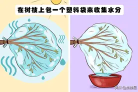 或许可以帮你省下不少麻烦的10个生存小技巧图片