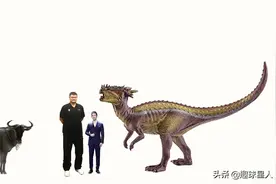 将人类和现代动物跟远古食草恐龙放在一起对比是怎样的画面？图片