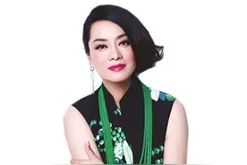 毛阿敏到底有何魅力？抛下张勇，被传姐弟恋，还能被富豪独宠17年图片