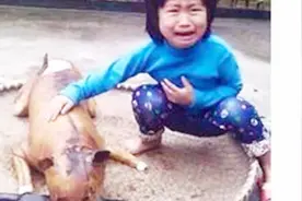 五岁女童狗肉摊前认出饲养三年的爱狗，蹲地痛喊：“那是花花”！视频封面