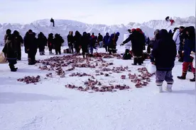 极地的爱斯基摩人一辈子吃生肉，是基因突变，还是突破人类极限？图片