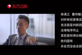 《突围》大结局：林满江去世且被抄家，皮丹自首，傅长明罚120亿图片