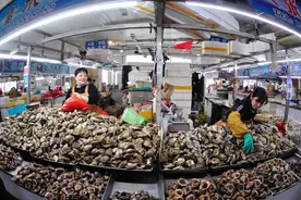 威海休渔期，还有哪些海鲜可以吃？图片