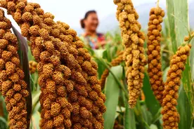 于德庆：做人不要太张扬〈杂文）图片