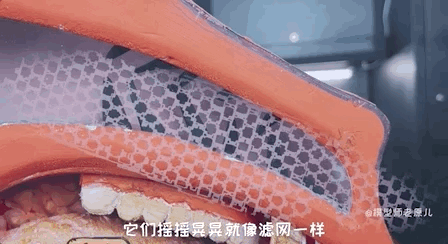 骆驼的驼峰竟然不是用来存水的？那它靠啥在沙漠里笑嘻嘻？