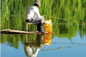 应对静海花园钓鱼比赛，教你野钓用饵硬技巧，让你更容易钓大鱼图片