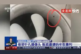 拼多多商家卖“偷拍摄像头”？手机在线看直播，还能私人订制……图片