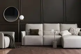 德国OKin电机+多模块化组合，这款电动沙发让你健康“葛优躺”图片