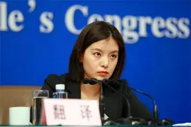 外交部美女翻译张京，酷似赵薇，凭实力圈粉图片
