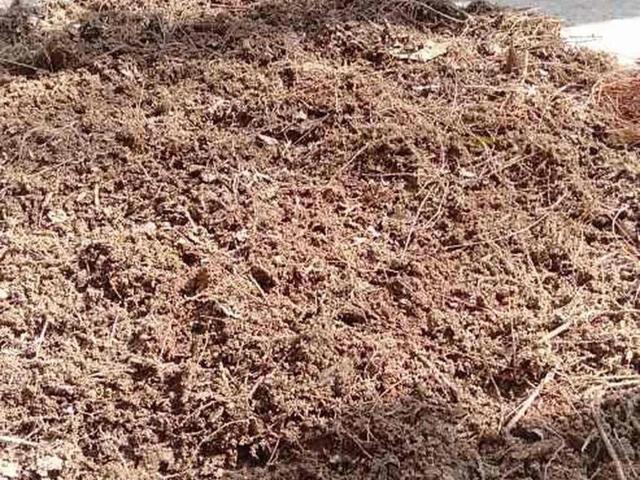 养分含量超高的营养土，自己在家也能做，省下一大笔 买花钱