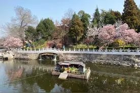 仰之弥高，钻之弥坚——北京积水潭医院足踝外科进修感言图片