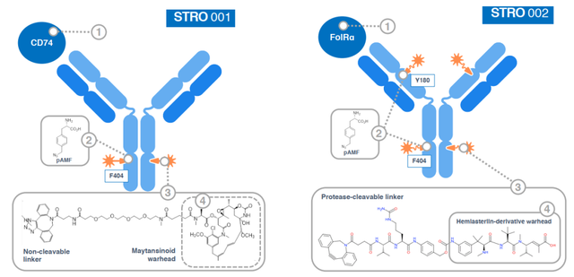 双抗ADC、突破性疗法：非天然氨基酸抗体偶联技术解析