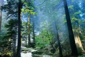 河南省名字只有一个字的县市，有你的家乡吗？图片