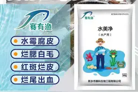 「水美净」水霉、鳃霉等引起的真菌性疾病克星图片