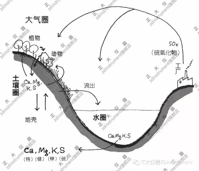 土壤中的氮循环
