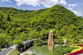 浙江深入推进生态文明建设 让绿色成为浙江发展最动人的色彩图片