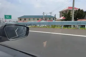 老去的姑妈图片