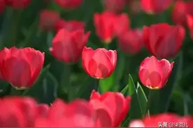 老公出差，老婆搬到男闺蜜家解闷，老公：我是不是不该回来？图片