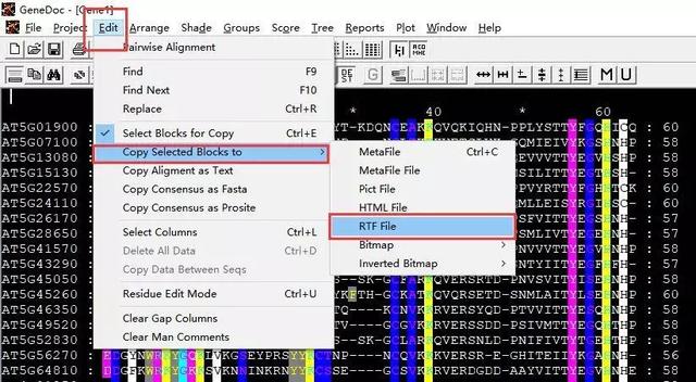 如何绘制漂亮的多重序列比对图
