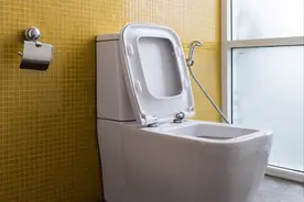 马桶三天不刷就有黄渍污垢！家政阿姨教你这么做，马桶干净无异味图片