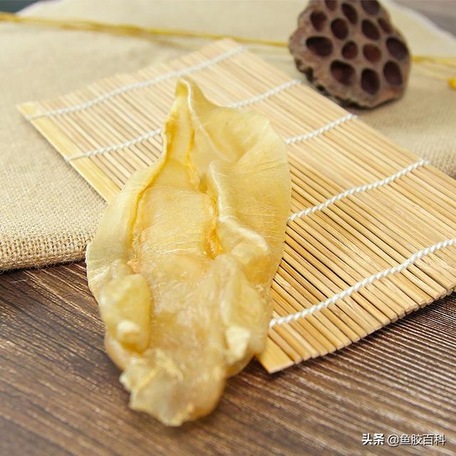 北海花胶的功效 2025年北海花胶好吗 北海花胶的功效 2025年北海花胶好吗