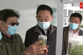 视频｜刘宁到葫芦岛市绥中县调研图片