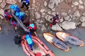 海豚“误入”海口龙珠湾！多部门开展联合救助图片