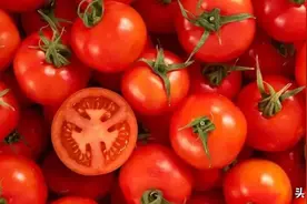 西红柿没了“西红柿”味，催熟剂不是主要原因，人为干预更重要图片