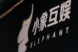 小象大鹅头部并购，多方角力中冲击美股上市？图片