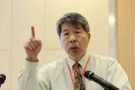 张亚中声势看涨？议员：他的论述与台湾政治环境脱节图片